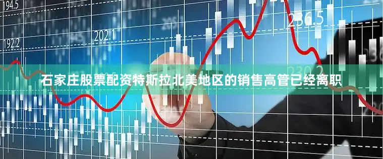 石家庄股票配资特斯拉北美地区的销售高管已经离职