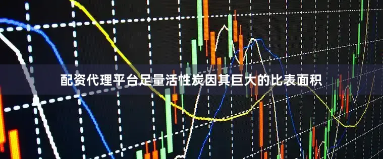 配资代理平台足量活性炭因其巨大的比表面积