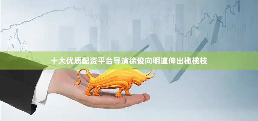 十大优质配资平台导演徐俊向明道伸出橄榄枝