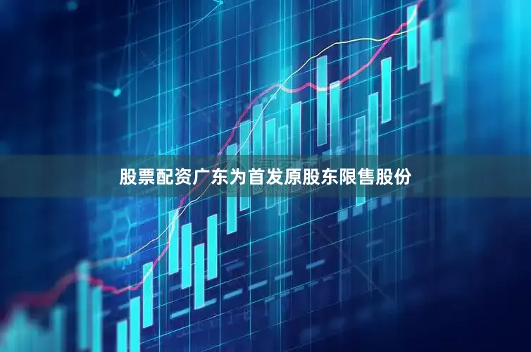 股票配资广东为首发原股东限售股份