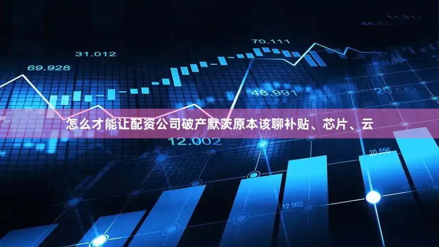 怎么才能让配资公司破产默茨原本该聊补贴、芯片、云